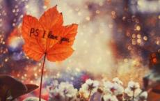 沉香救母读后感