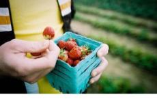 小孩不笨观后感