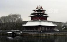 母亲的纯净水读后感