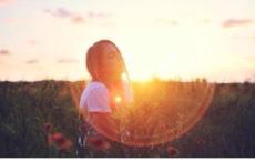 千与千寻观后感