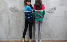 老人与海鸥教学反思