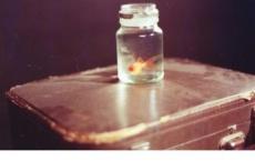 长袜子皮皮读后感