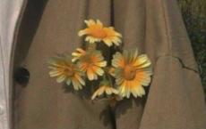 高一历史教学计划