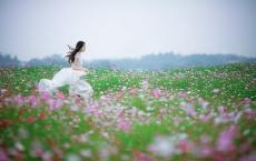 秦兵马俑教学反思