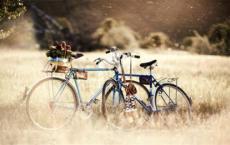 艾青诗选读后感600字