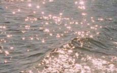 学校管理经验交流材料