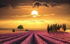 高三数学教学反思