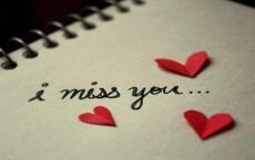 狮子和鹿教学反思