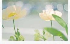 初三语文教学反思