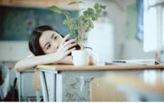 再别康桥读后感