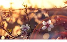 会飞的教室读后感