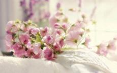 后羿射日读后感