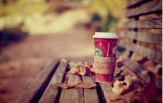 去年的树说课稿