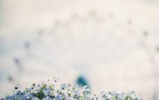 济南的冬天说课稿