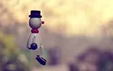 大班语言活动说课稿