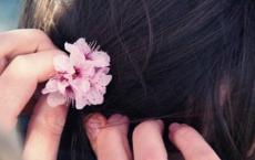 小学语文优秀说课稿