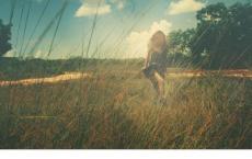 八年级生物教学计划