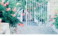 中职班主任工作计划