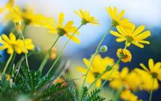 高老头读书笔记