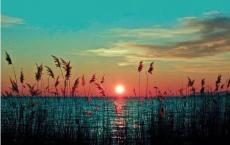 诺曼底号遇难记读后感