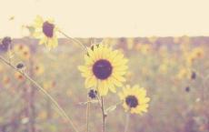 一年级数学下册复习计划