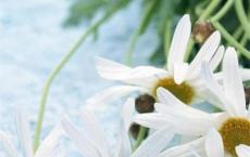 老残游记读后感