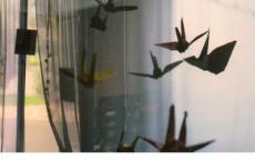 三国演义读后感