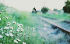 上学路上观后感