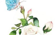 辛亥革命观后感