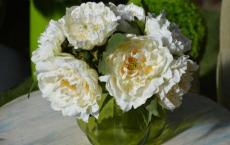 消防安全第一课观后感