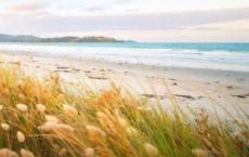 人与自然观后感