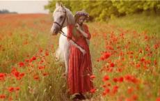 首都博物馆观后感