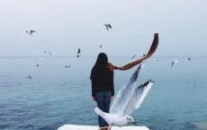 毛主席纪念堂观后感