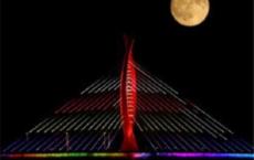 忠诚与背叛观后感