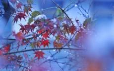 十月围城观后感