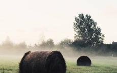 火烧圆明园观后感