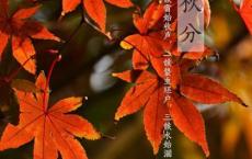 感动中国观后感