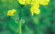 超强台风电影观后感