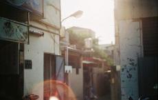 活着读后感500字