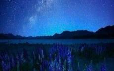 悲伤逆流成河观后感