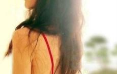 反贪倡廉观后感