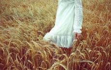 南京大屠杀观后感