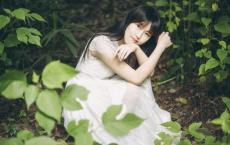 关于伤心的日志