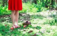 小鹿斑比读后感