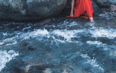 藏在心底的“黑蝴蝶”