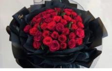 海底捞你学不会读后惑