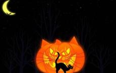 一百条裙子读书笔记