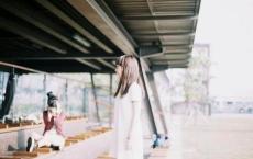 蜗牛健步如飞想象作文