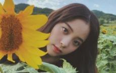 游烈士陵园有感1000字