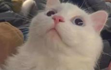 参观烈士陵园观后感600字